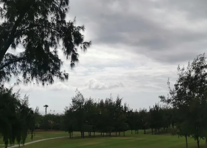 Calitatea Cruz Santa Cruz de Tenerife